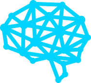 brain1
